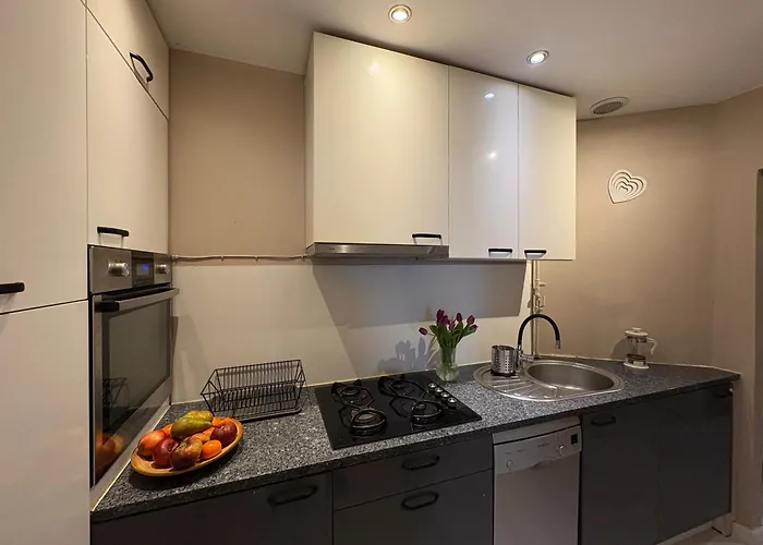 Brick Loft Szczesliwa - Apartment Wroclaw